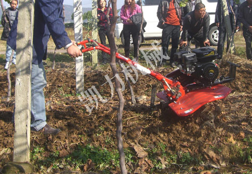 葡萄微耕機(jī)