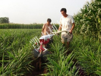 姜地用田園管理機(jī)