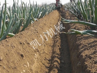 大蔥開(kāi)溝培土機(jī)